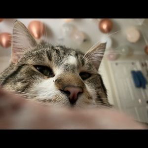 Meet your Posher, Brian